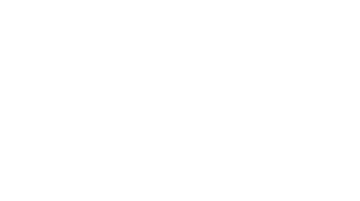 Dane Capital Dane Capital